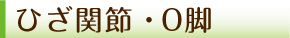 膝関節・O脚