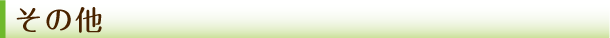 その他